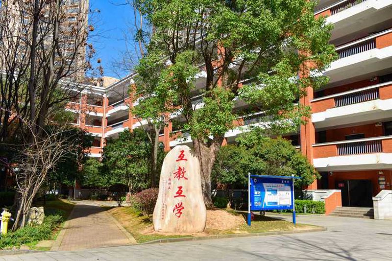 烤肉秘籍：解锁夏日美食潮流的秘密武器